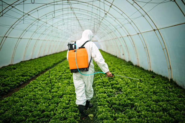 Best Affordable Pest Control Services  in Cornelia, GA