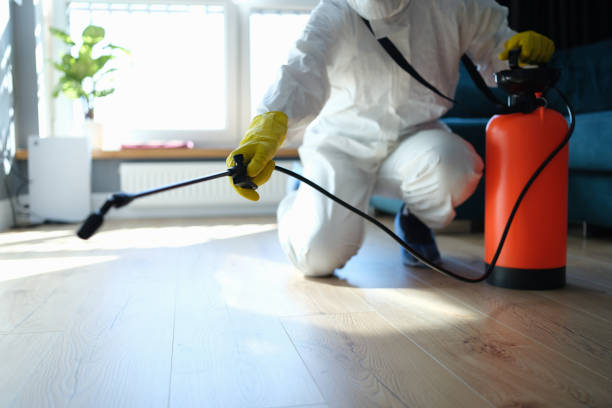 Flea Control Services in Cornelia, GA