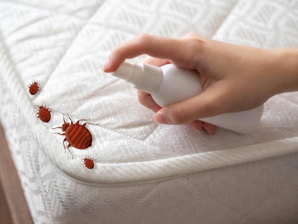 Best Pest Control for Restaurants  in Cornelia, GA