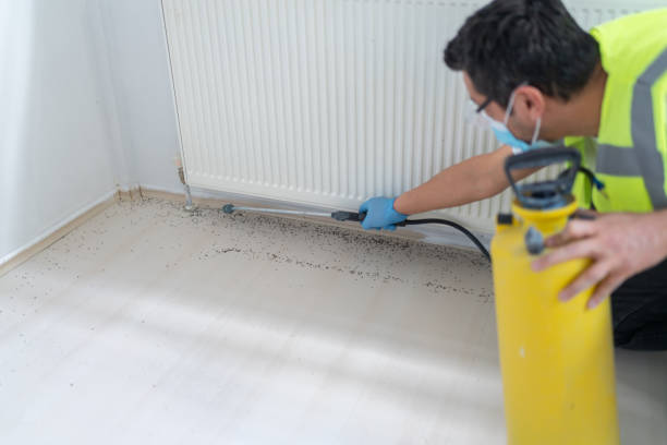 Best Commercial Pest Control Services  in Cornelia, GA